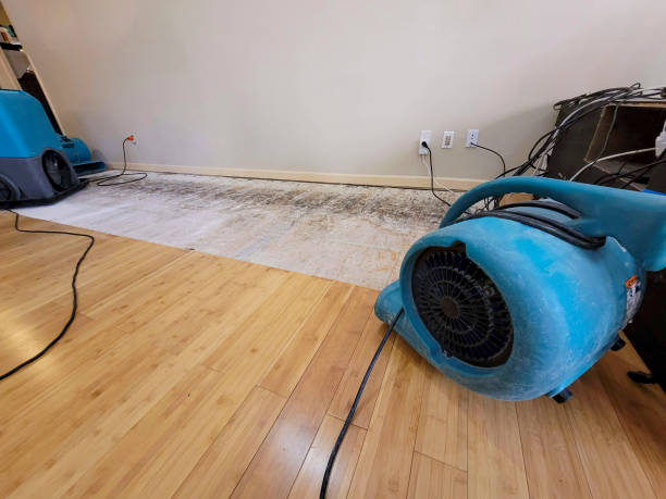 Professional Water Damage Repair technician working in Pipestone, MN
